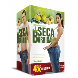 SECA BARRIGA 60 CÁPSULAS