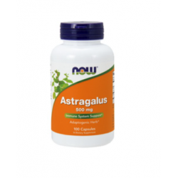 NOW ASTRAGALUS 500MG 100 CÁPSULAS