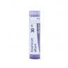 ARSENICUM ALBUM GRANULO 30CH BOIRON