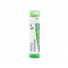 ARNICA MONTANA GRANULO 5CH BOIRON