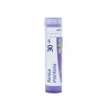 ARNICA MONTANA GRANULO 30CH BOIRON