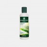 HERBATINT CHAMPO NORMALIZANTE 260ML