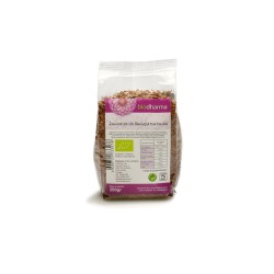 BIODHARMA SEMENTES DE LINHAÇA CASTANHA BIO 200GR