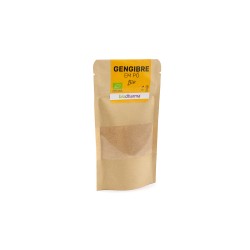 BIODHARMA GENGIBRE EM PÓ BIO 40GR