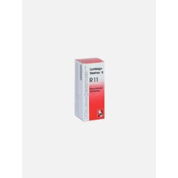 R-11 GOTAS ORAIS 50ML