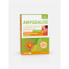 AMYGDALISE 20 COMPRIMIDOS MASTIGÁVEIS