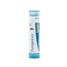 PYROGENIUM GRANULOS 9CH BOIRON
