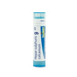 HEPAR SULFURIS CALCAREUM GRANULOS 9CH BOIRON