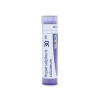 HEPAR SULFURIS CALCAREUM GRANULOS 30CH BOIRON