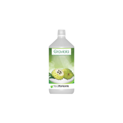 NOVO HORIZONTE GRAVIOLA LÍQUIDA 1L