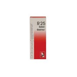R-25 GOTAS ORAIS 50ML