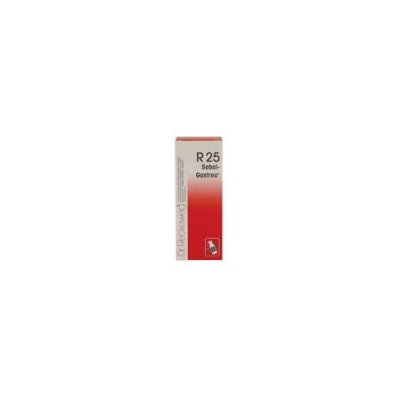 R-25 GOTAS ORAIS 50ML